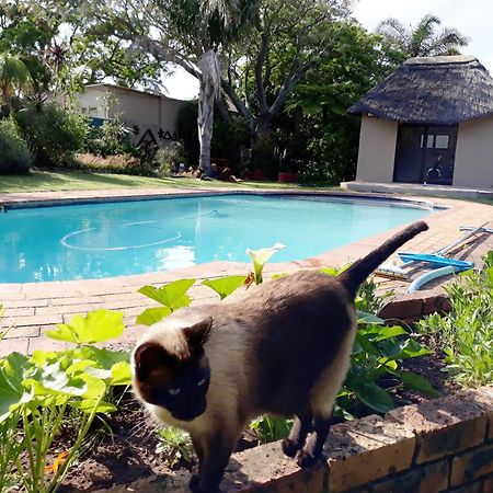 Field'S Rest Bed & Breakfast Port Elizabeth Bagian luar foto