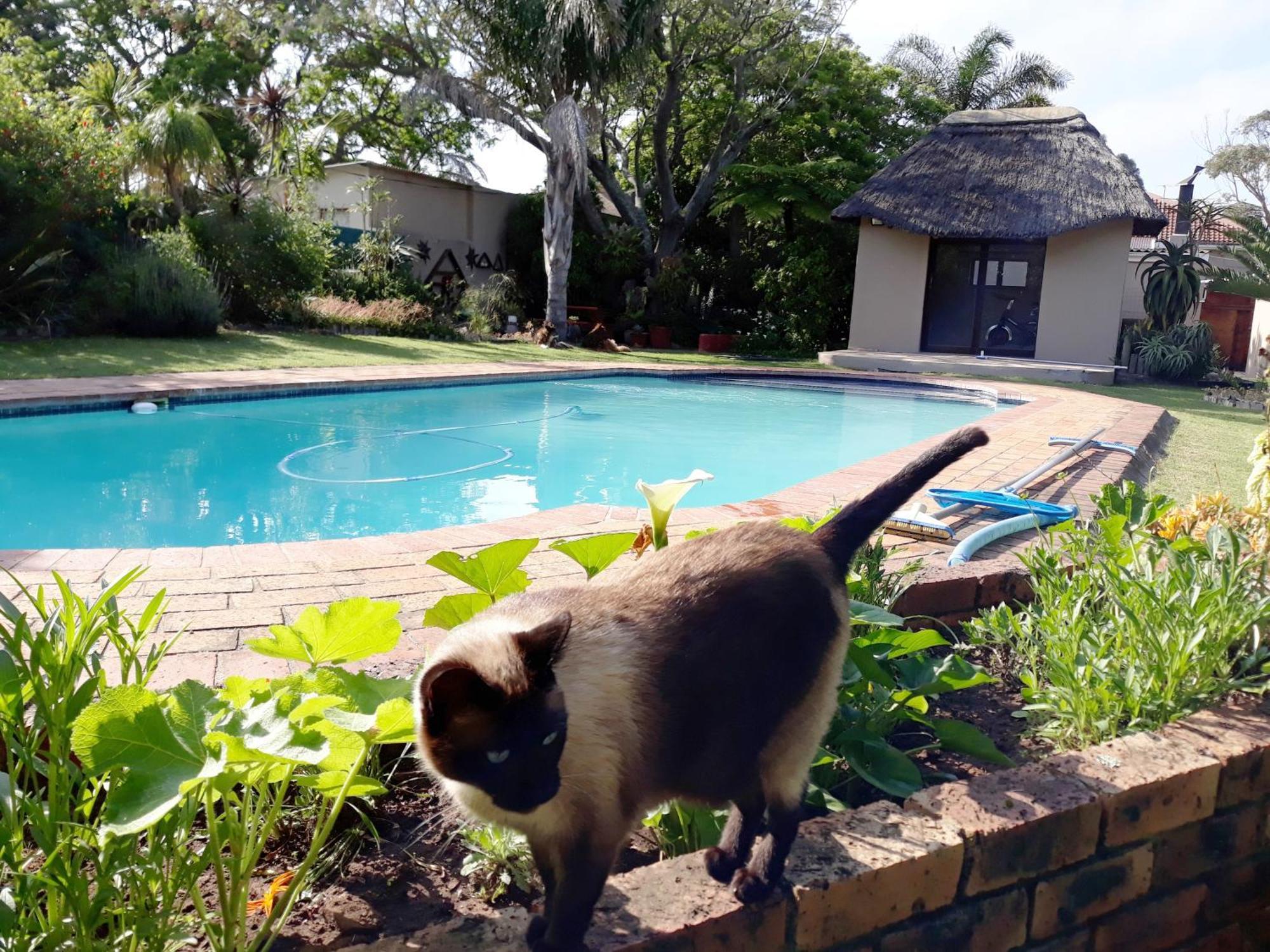 Field'S Rest Bed & Breakfast Port Elizabeth Bagian luar foto